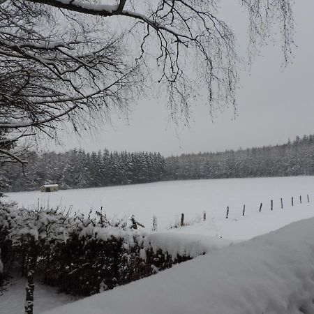 Holiday Home In Waimes With Private Garden Kültér fotó