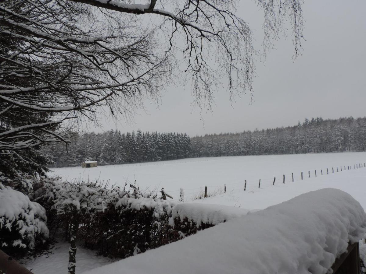 Holiday Home In Waimes With Private Garden Kültér fotó